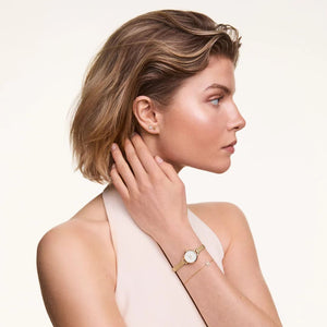 Orologio DW Petite Mini Evergold DW00100745 donna 19 mm-2b Gioielli