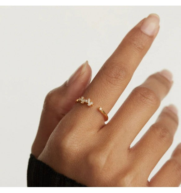 Anello PdPaola AN01-672-12 Essentials Prince donna argento-2b Gioielli