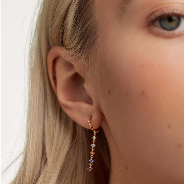 Orecchini PdPaola AR01-303-U Five Sage in argento 925 placcato oro 18 Kt-2b Gioielli